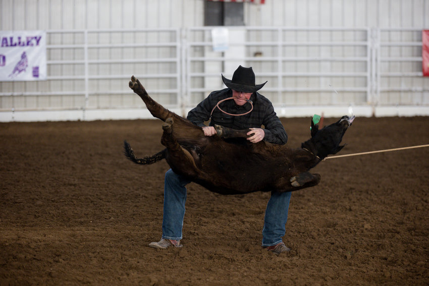 A calf is taken down during the roping event at the Winter Rodeo.